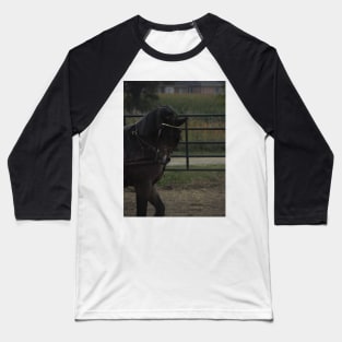 Horse show Baseball T-Shirt